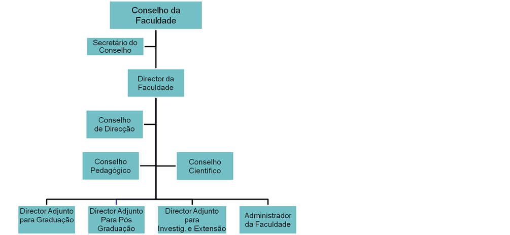 estruturaorganica1